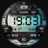 MD244 LCD Digital watch face