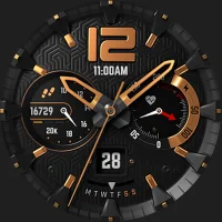 S4U Chicago Golden watch face